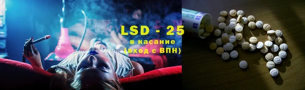сатива Алзамай