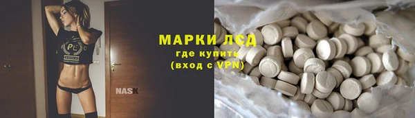 сатива Алзамай