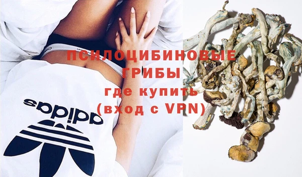 сатива Алзамай