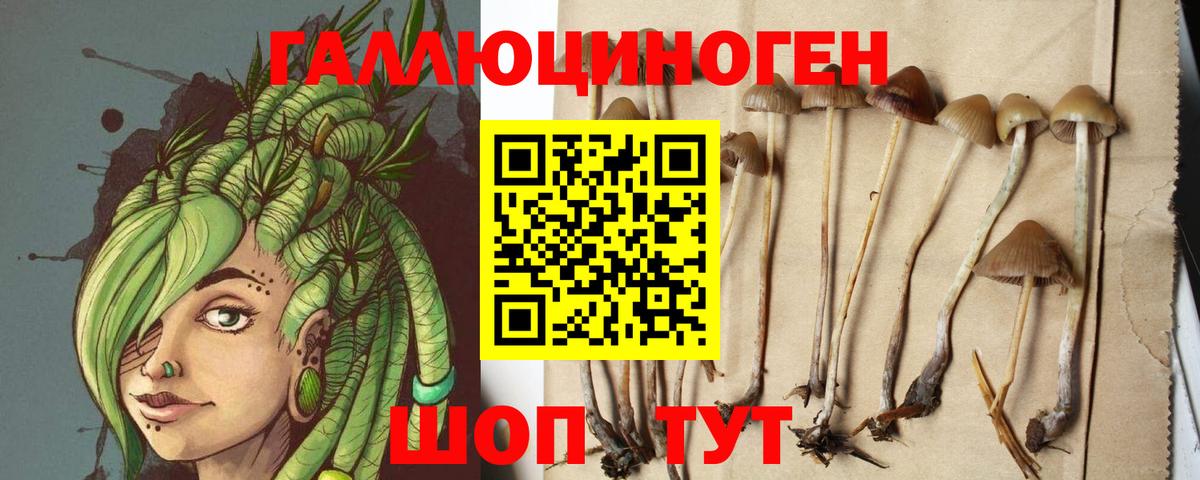 Мичуринск  Псилоцибиновые грибы MAGIC MUSHROOMS  Вход с VPN  Галлюциногенные грибы Psilocybe 