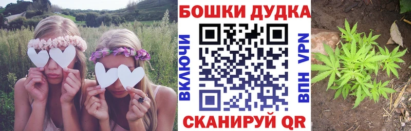 Канабис Bruce Banner  ссылка на мегу онион  Мичуринск 